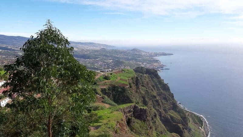 Funchal: Half-Day South Madeira Island Private Tour - Why This Tour Offers Good Value