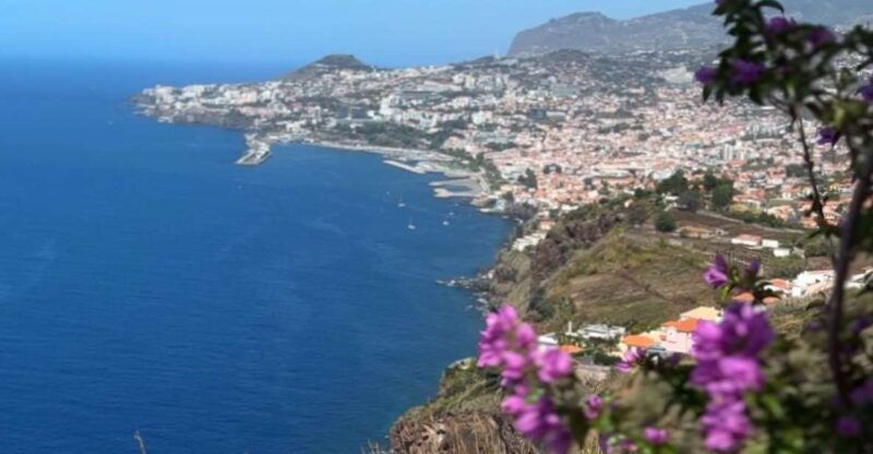 funchal-historical-tuk-tuk-guided-tour