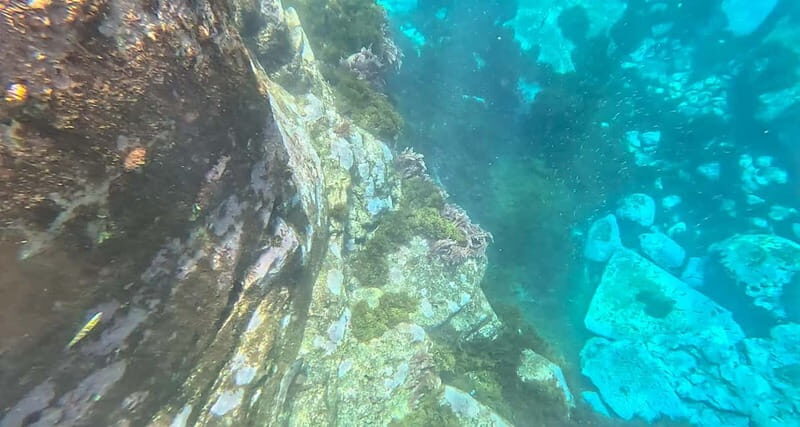 Funchal: Kayak and Snorkel Tour to Garajau NR - What You Can Expect From the Tour