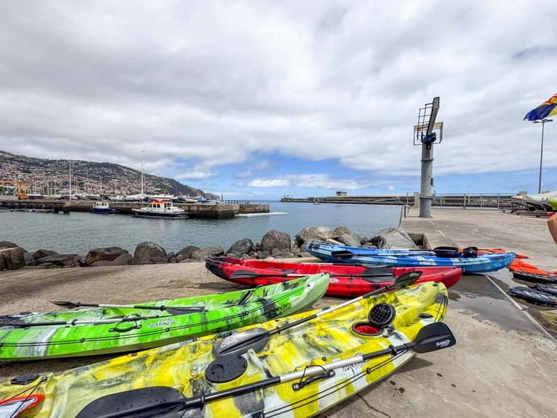 Funchal: Kayak and Snorkel Tour to Garajau NR - Final Thoughts