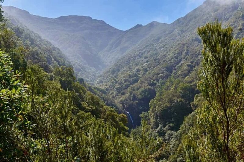 Funchal: Levada Caldeirão Verde Waterfalls and Forests Hike - Introduction