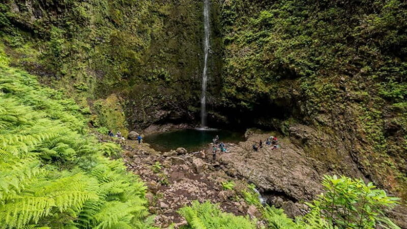 Funchal: Levada Caldeirão Verde Waterfalls and Forests Hike - Key Points  