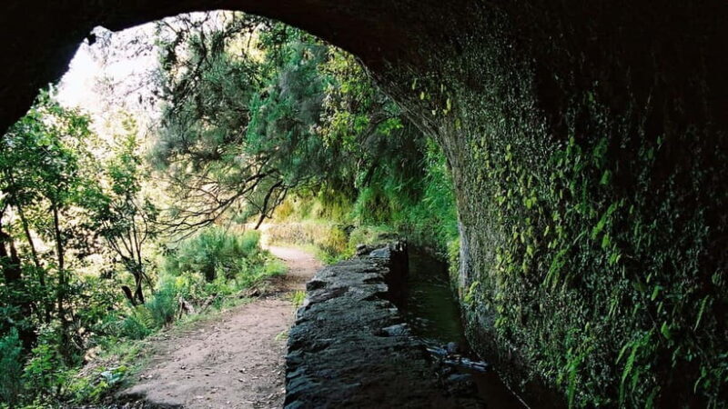 Funchal: Levada Caldeirão Verde Waterfalls and Forests Hike - Why This Tour Stands Out