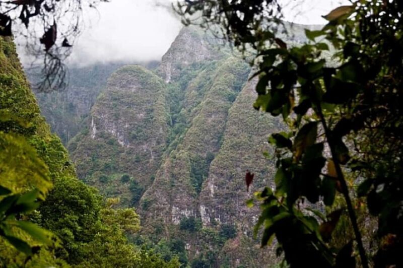 Funchal: Levada Caldeirão Verde Waterfalls and Forests Hike - The Sum Up