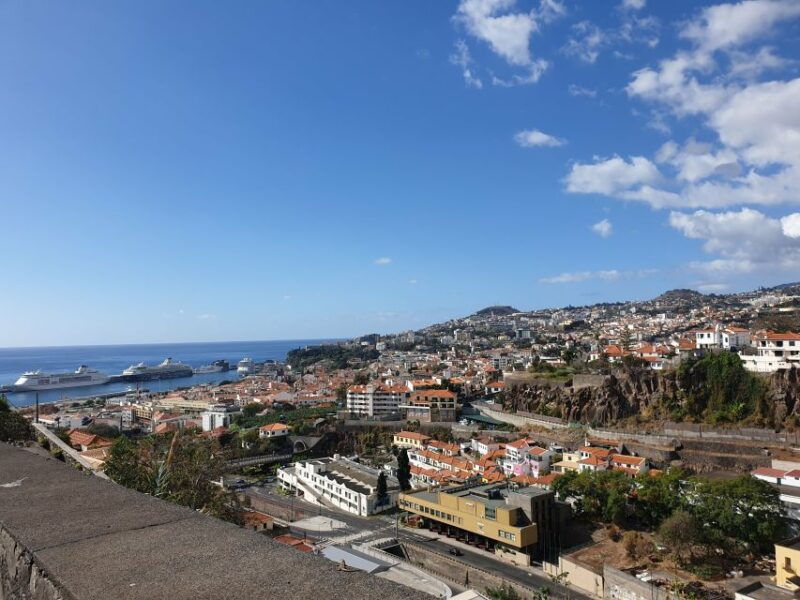 funchal-madeira-botanical-garden-private-tuk-tuk-tour