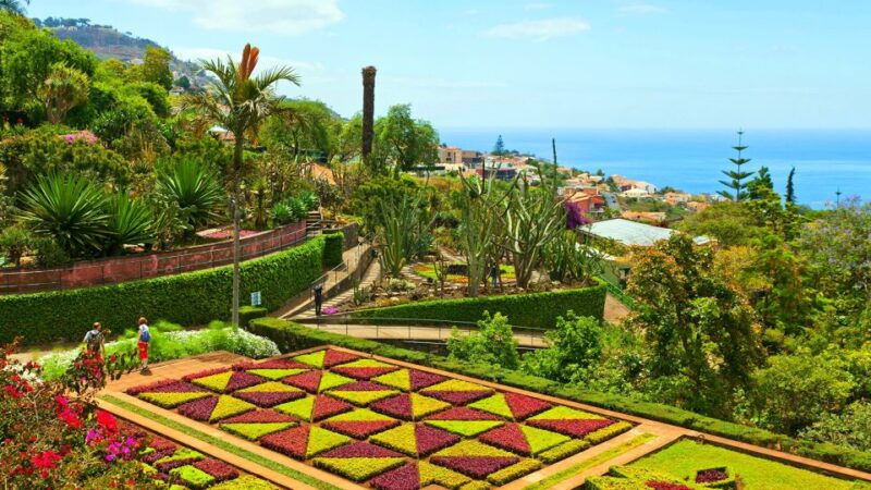 funchal-madeira-botanical-garden-private-tuk-tuk-tour
