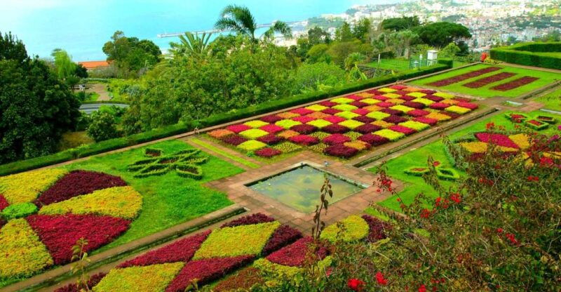 funchal-madeira-botanical-garden-private-tuk-tuk-tour