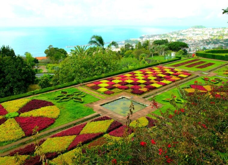 funchal-madeira-botanical-garden-private-tuk-tuk-tour