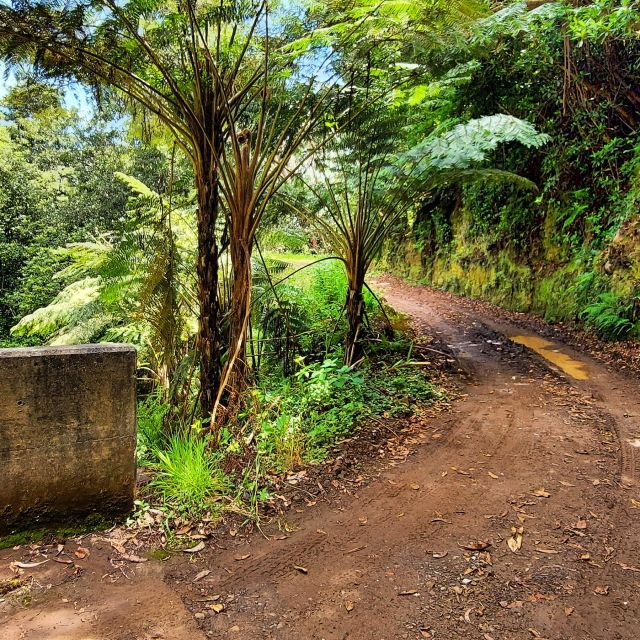 funchal-madeira-island-4x4-private-customizable-tour