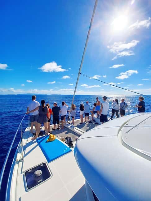 Funchal: New Year's Eve - Luxury Catamaran with food & drink - Practical Tips for Booking