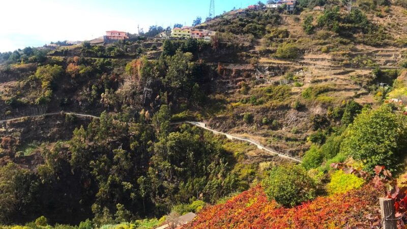 funchal-northern-levada-walking-tour
