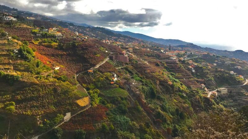 funchal-northern-levada-walking-tour