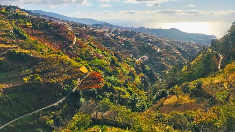 funchal-northern-levada-walking-tour