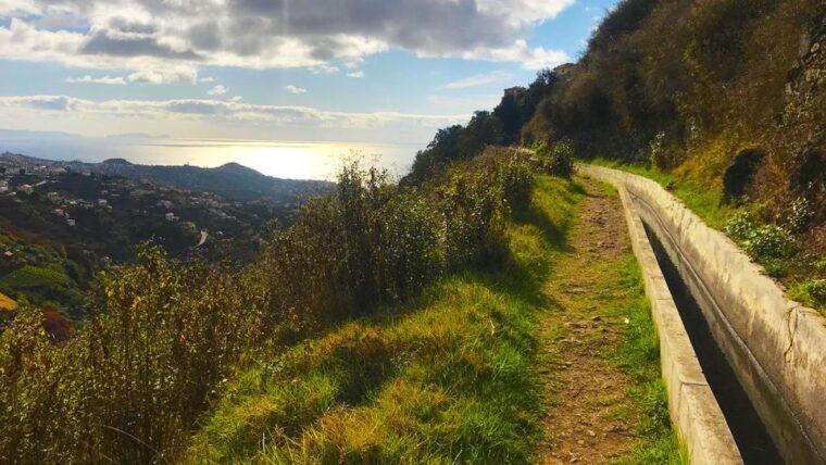 funchal-northern-levada-walking-tour
