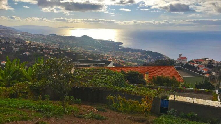 funchal-northern-levada-walking-tour