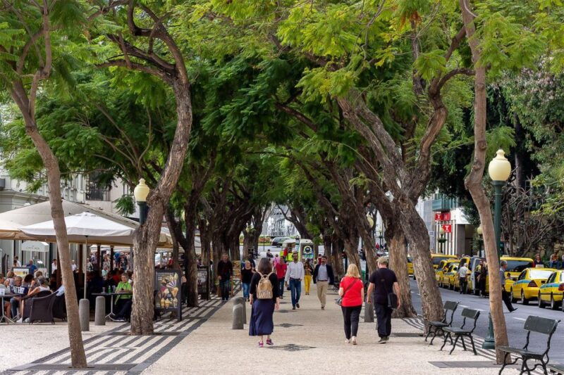 funchal-old-town-walking-tour