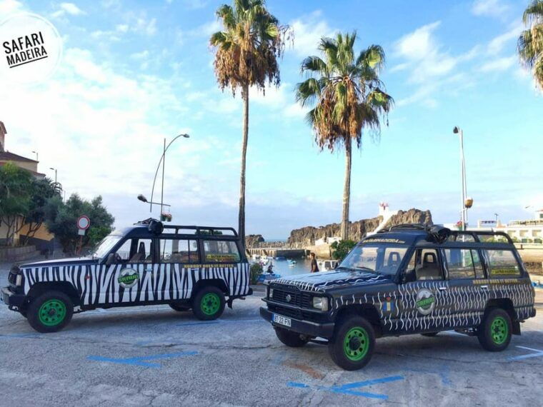 funchal-pico-do-areeiro-to-santana-4x4-east-tour