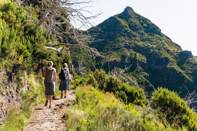 Funchal: Pico do Arieiro Sunrise Hiking Transfer - What Reviewers Say