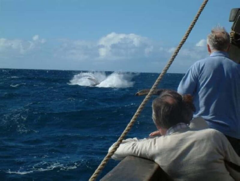 Funchal: Pirate Ship Cruise with Wine and Honey Cake Tasting - Authentic Experiences and Customer Feedback
