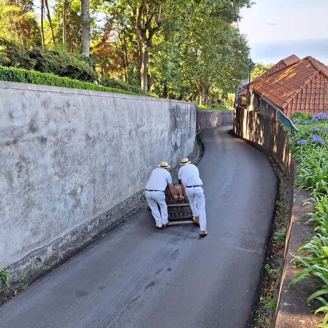 Funchal: Private Cable Car, Toboggan, and Skywalk Tour - The Experience: Real Insights from Travelers
