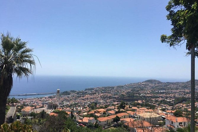 funchal-private-vehicle-service-with-driver-for-a-half-day-or-full-day