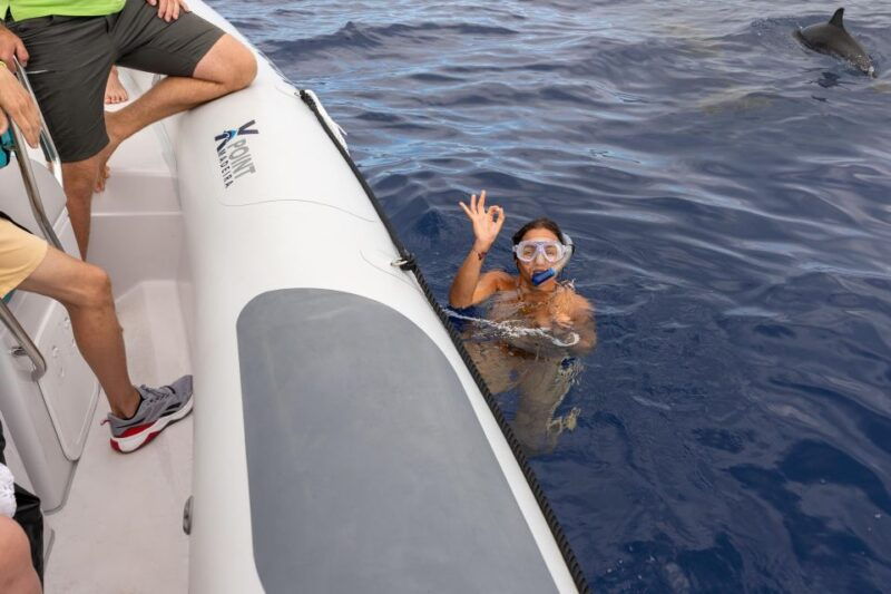 funchal-rib-whale-watching-cruise-and-optional-dolphin-swim