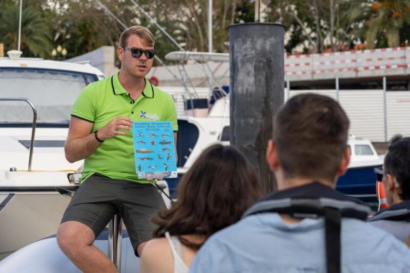 funchal-rib-whale-watching-cruise-and-optional-dolphin-swim