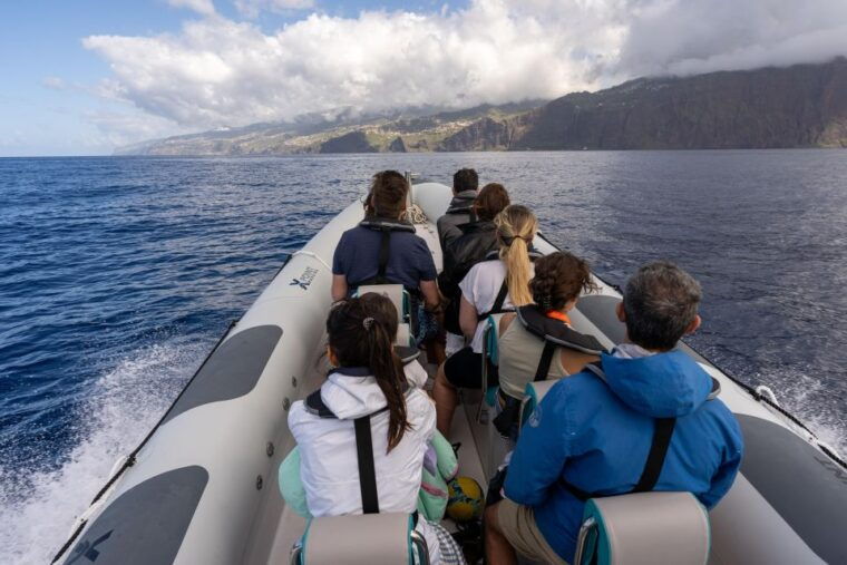 funchal-rib-whale-watching-cruise-and-optional-dolphin-swim