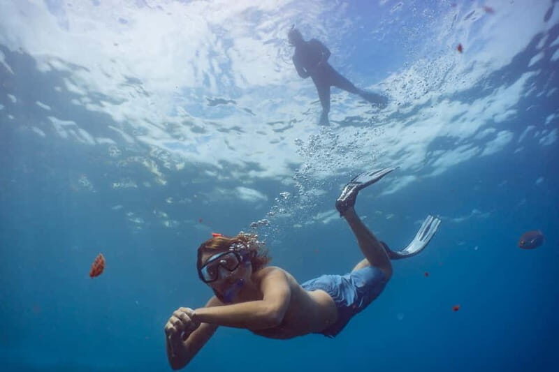 Funchal: Snorkeling Adventure in Eco-Park / Shore or by Boat - The Experience: What to Expect