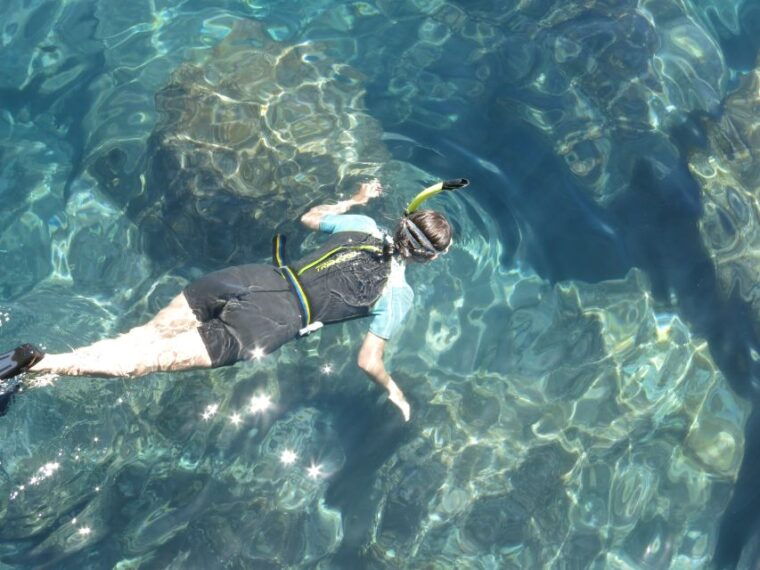 funchal-snorkeling-adventure-in-the-eco-park
