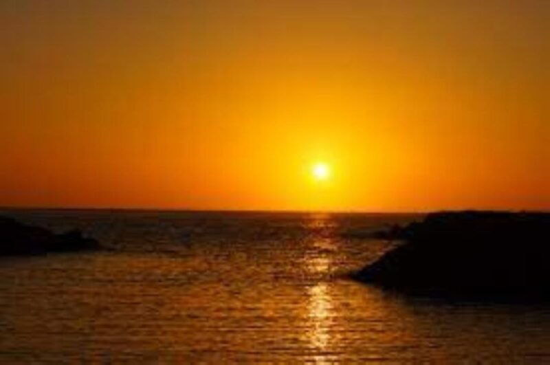 funchal-speedboat-see-the-island-and-life-at-sea