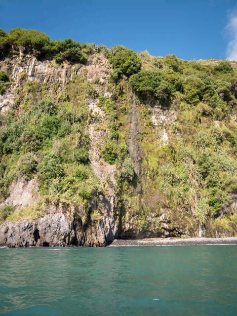 funchal-speedboat-see-the-island-and-life-at-sea