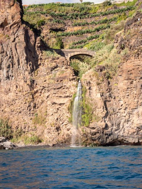 funchal-speedboat-see-the-island-and-life-at-sea
