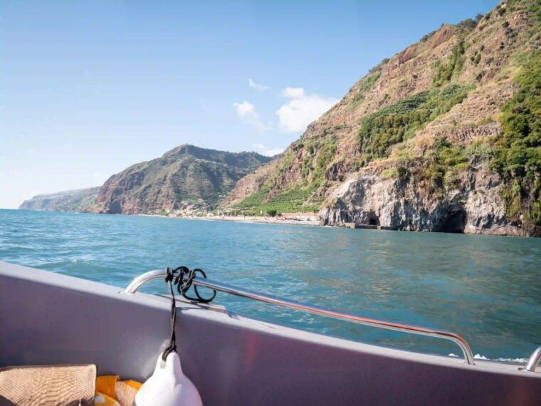funchal-speedboat-see-the-island-and-life-at-sea