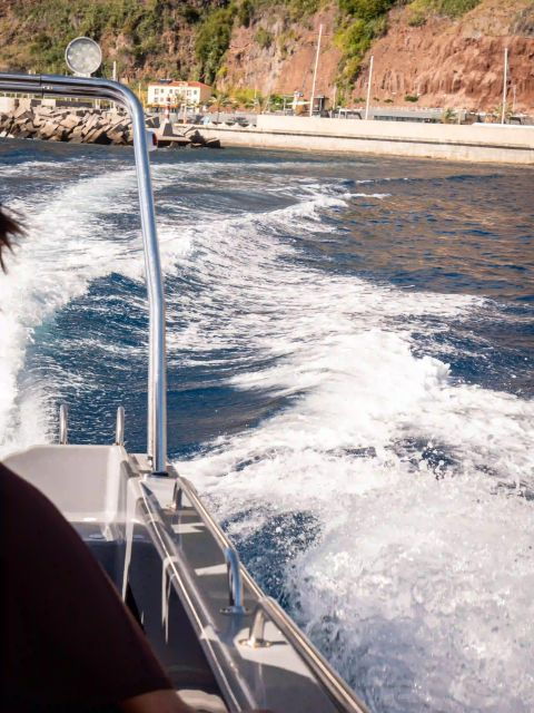 funchal-speedboat-see-the-island-and-life-at-sea