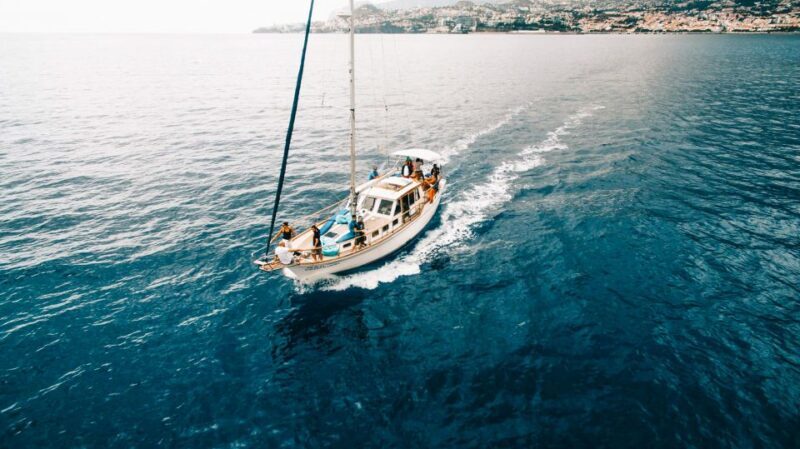 Funchal: Sunset Sailing Tour - The Experience Itself: From Boarding to Disembarking