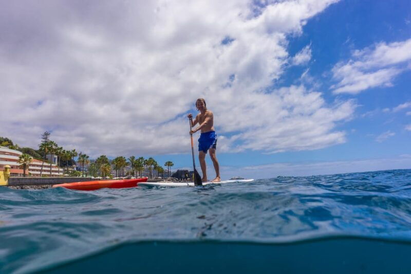 funchal-sup-rental-or-guided-tour-with-snorkeling