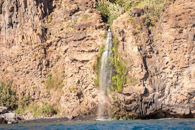 funchal-thrilling-speedboat-tour-see-dolphins-and-whales