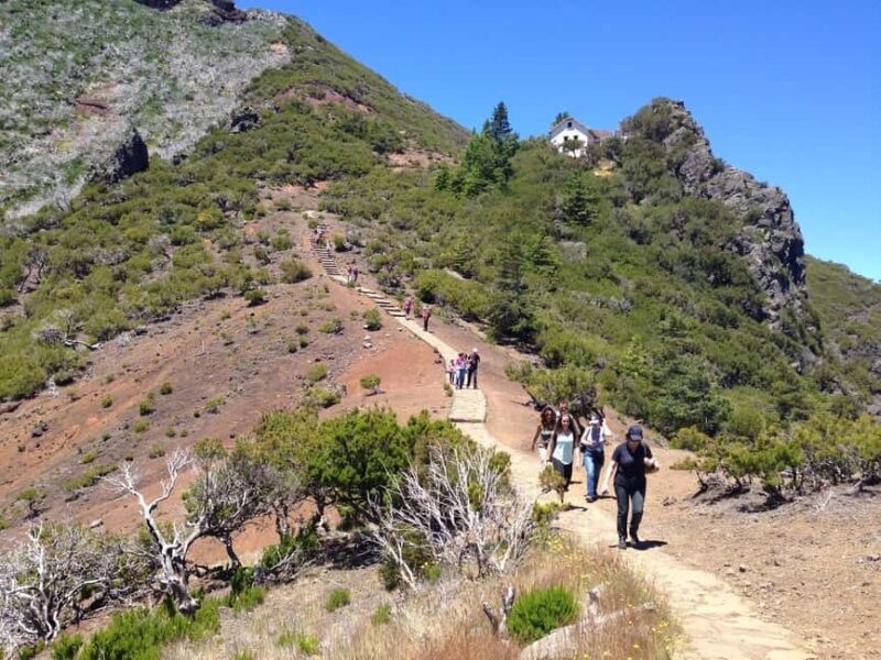 Funchal: Transfer to PR1 Pico do Arieiro & Pico Ruivo Trail - Authentic Experiences and Tips from Reviews