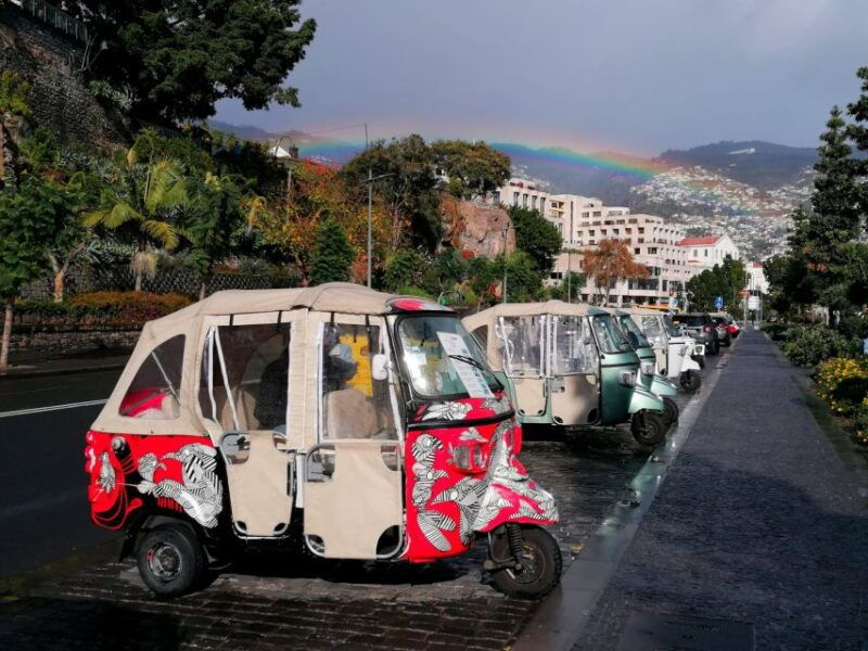 funchal-tuk-tuk-ride-to-monte-funchal-toboggans