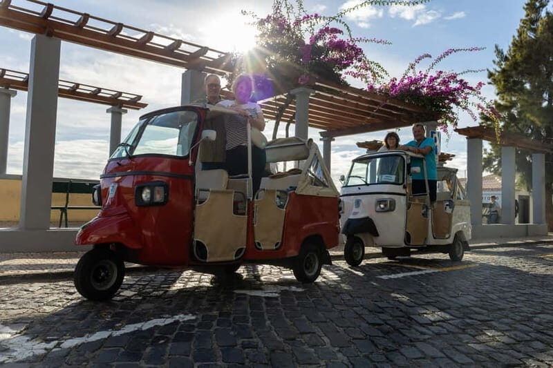 Funchal: Tuk Tuk Tour to the Most Breathtaking Viewpoints - Pricing and Value