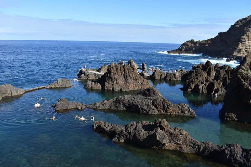 Funchal: Waterfalls, Volcanic Pools, and Fanal Forest Tour - Authentic Experiences and Reviews