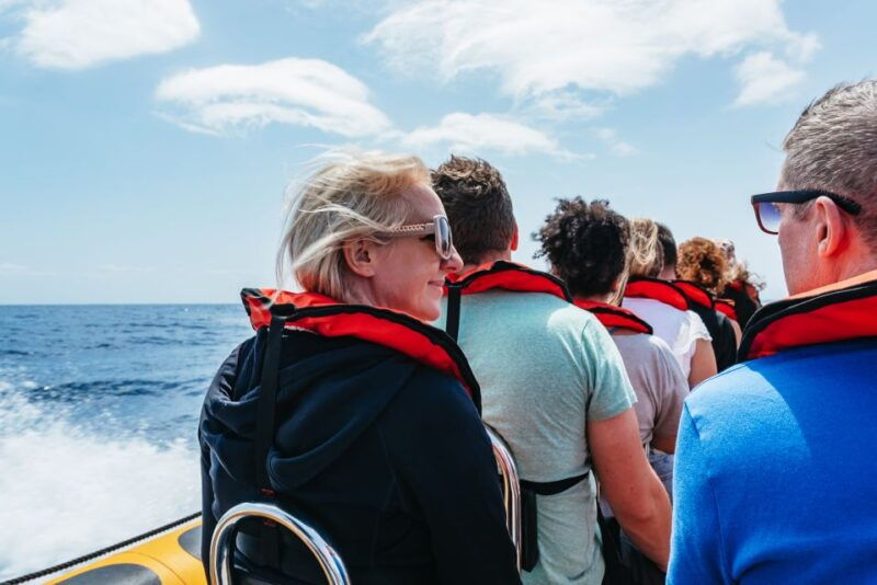 funchal-whale-and-dolphin-watching-speed-boat-tour