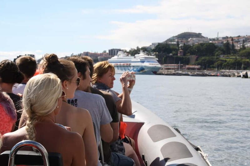 Funchal: Whale Watching and Swimming with Dolphins Cruise - An In-Depth Look at the Tour Experience  