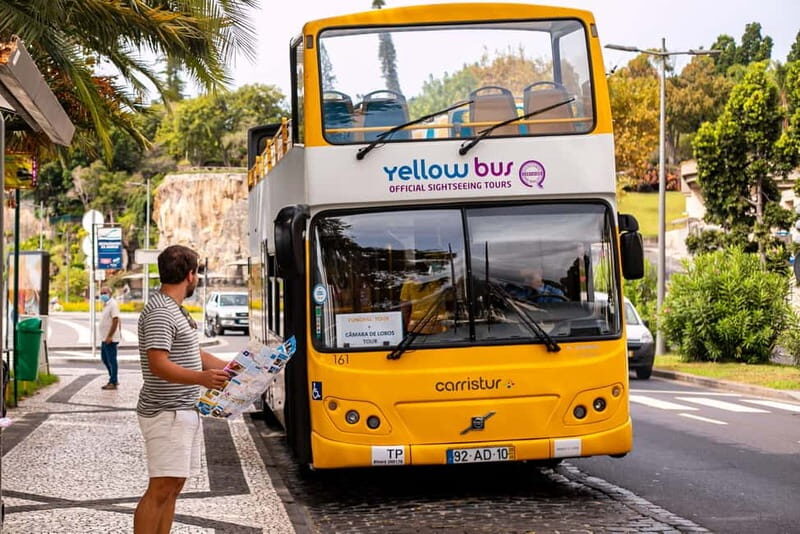 Funchal:Hop-on Hop-off Bus & Whale & Dolphin boat Excursion - Key Points