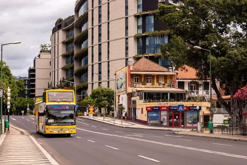 Funchal:Hop-on Hop-off Bus & Whale & Dolphin boat Excursion - Final Thoughts: Who is This Tour Best For?