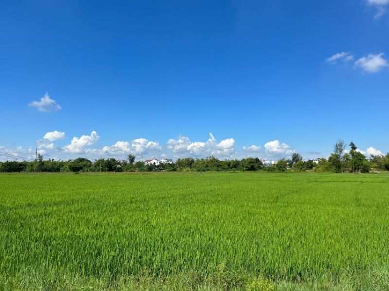 funny-day-biking-farming-buffalo-riding-and-basket-boat