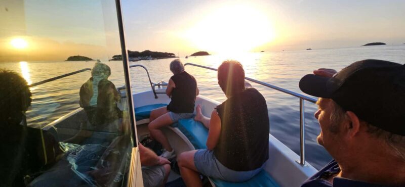 Funtana: Dolphin safari, drinks included - Who Should Consider This Tour?