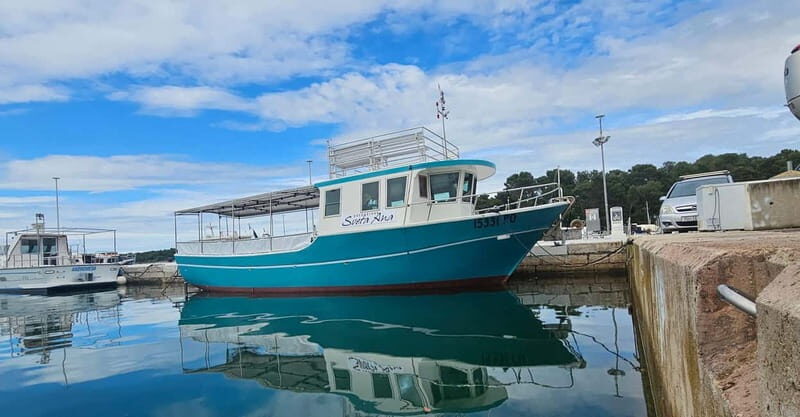 Funtana,Vrsar: Dolphin safari, drinks included - Authentic Experiences from Visitors