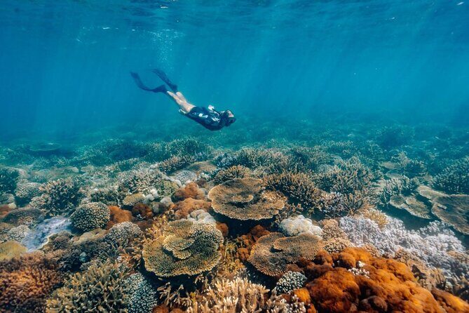 Funtastic Kraken Keppel Island Day Trip and Snorkelling Adventure - Final Thoughts